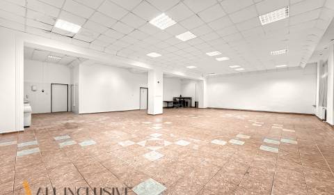 NA PREDAJ – OBCHODNÝ PRIESTOR V CENTRE MESTA,DUN STRED