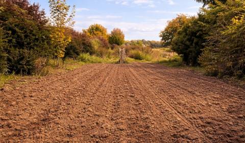 Veľkorysý pozemok na výstavbu rodinného domu - Horné Topoľníky