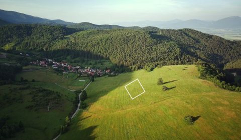 Predaj, pozemok v obci Breštie.