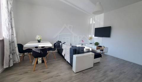 Investičná príležitosť – 2-izbový zrekonštruovaný byt s nájomníkmi