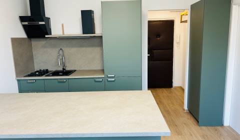 Prenájom 1 izb. bytu po rekonštrukcii v NZ