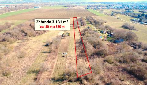3.130 m2 ZÁHRADA v širšom centre Štúrova