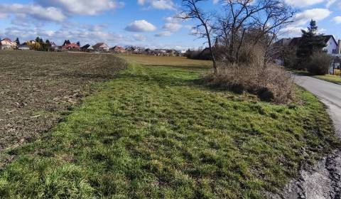 Investičná príležitosť, pozemok  na predaj, 3 399 m², Čierny Brod 