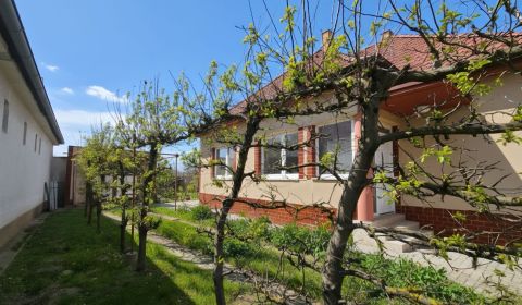 4i podpivničený  RD s garážou a studňou Križovany