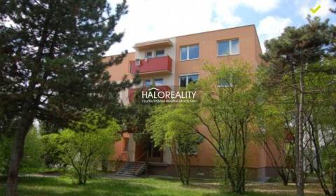 Predaj, štvorizbový byt Dunajská Streda