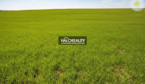 Predaj, pozemok pre rodinný dom   1002 m2 Brunovce