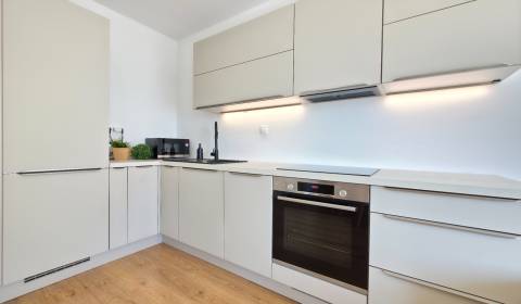 KRÁSNY 2IZB.BYT S LODŽIOU A PIVNICOU V DISCOVERY-MLYNSKÉ NIVY, RUŽINOV