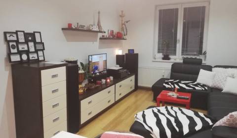 1-izbový byt s veľkou terasou, Štúrová ul., Nitra - Centrum