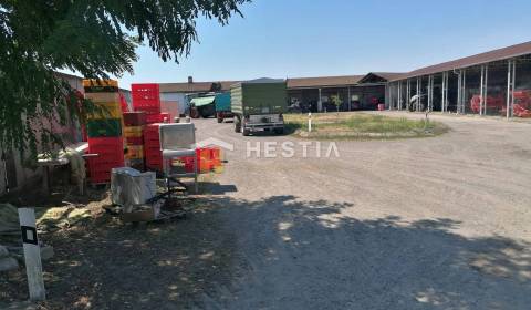 Pozemok s hospodárskymi budovami a ubytovaním