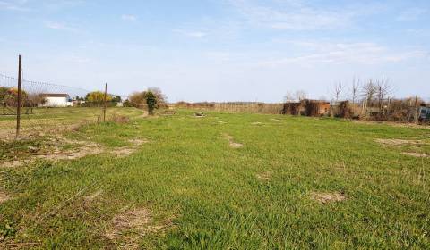 Na predaj rozľahlý stavebný pozemok pri Sládkovičove 