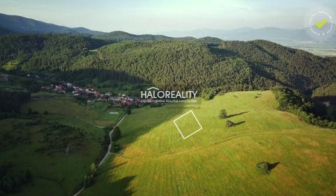 Predaj, pozemok pre rodinný dom   3000 m2 Brieštie -...