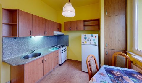 PREDANÉ !!! (53 m²) 2i BYT S LOGGIOU