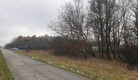 Hľadáte les a lúku v okrese Pezinok? Budmerice