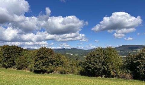 Hankovce – 2.359 m2 LESNÉ a INVESTIČNÉ pozemky – Predaj