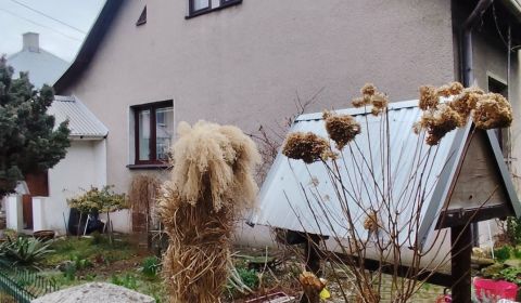 Na predaj: Priestranný rodinný dom Čadca – Horelica