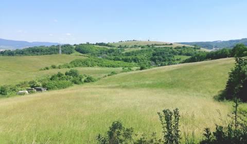 ZÁHRADA/INVESTIČNÝ POZEMOK 1090 m2, HNEVLIVÁ DOLINA, PREŠOV