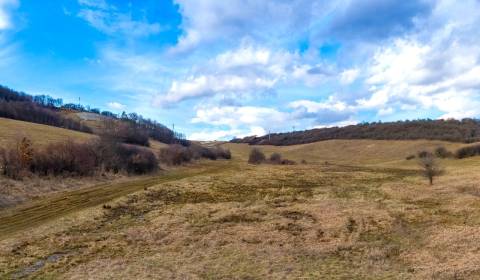 POZEMOK URČENÝ NA IBV, 700 m2, HNEVLIVÁ DOLINA, PREŠOV