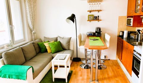 Priestranný 1 - izbový byt – 45 m², lokalita: Trnávka