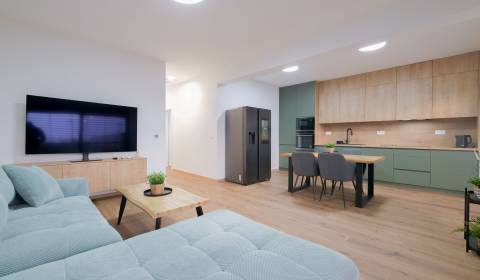 MODERNE ZARIADENÝ 4 IZBOVÝ RODINNÝ DOM V MOJMÍROVCIACH