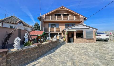 2-Generačný 9izb. RD s bazénom a veľkým pozemkom, Dvorníky