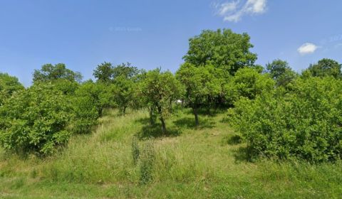 1.BCR | OVOCNÝ SAD, RUDNÍK - OKRES MYJAVA