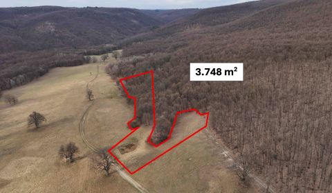 Príbelce – 3.748 m2 Lesný pozemok