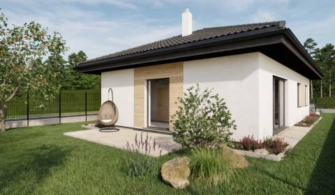 4iz RD (v štandarde + zámková dlažba, terasa) Drahovce