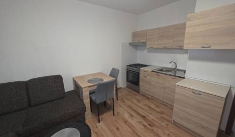 Prenájom veľký 1 izbový byt 48m2 Vráble- Centrum