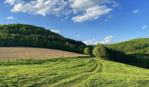 Dolné Kočkovce – 1.601 m2 LESOV (Urbáru) – PREDAJ