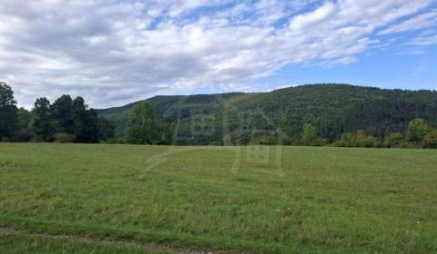 Veľký pozemok v srdci prírody pri Hornom Tisovníku