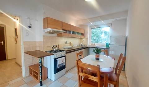 Na PRENÁJOM, VEĽKÝ 2 izb. TEHLOVÝ BYT, SÍDLISKO II., PREŠOV 