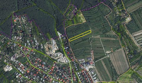 1.BCR | VINICA/DLHODOBÁ INVESTÍCIA, RAČA - FAJDLBERG