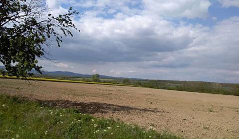Hľadáme na kúpu pozemok pre liečebňu v Bratislavskom kraji