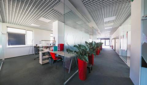 Prenájom kancelárií s TERASOU a výborným parkovaním, 264 m2, Ružinov