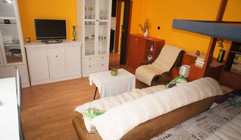 Veľký 1-izb. byt v tehlovom dome, Miletičova ul., Ružinov 