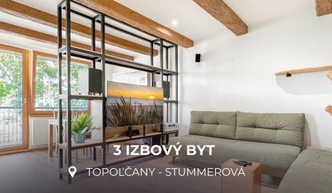 3 IZBOVÝ BYT PRI MESTSKOM PARKU | TOPOĽČANY