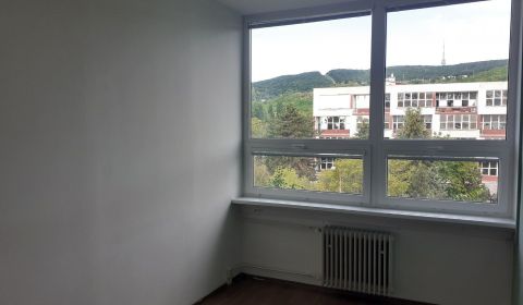 MLADÁ GARDA - Prenájom kancelárie 15 m2 na Račianskej ul.