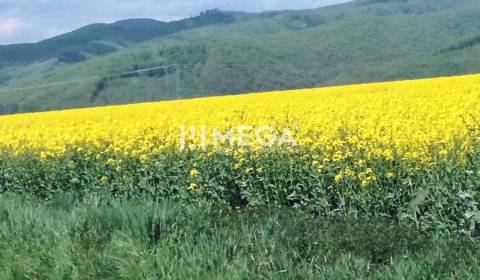 Na predaj - pozemky Kamenica nad Cirochou
