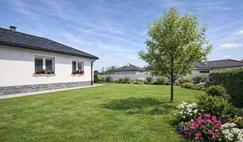 PREDAJ: Rodinný dom po rekonštrukcii /700 m2 pozemok/ Zemianska Olča