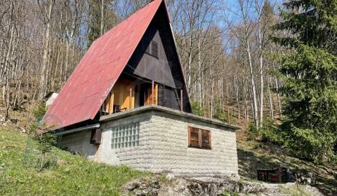 Chata uprostred hôr, Turecká, Banská Bystrica