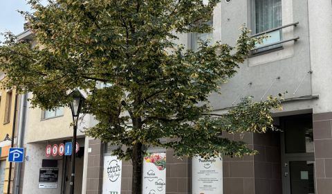 Na predaj veľký 1 izbový byt v úplnom centre mesta Trnava!