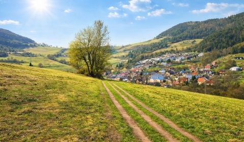Predaj: Pozemok orná pôda 4859m2 v Kotrčinej Lúčke (MO)