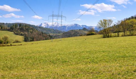 Predaj: Pozemok 4345 m2 v Kotrčinej Lúčke s elektr.vedením (MO)