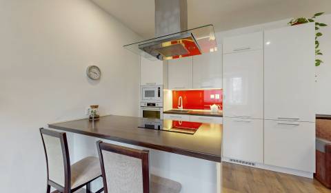 NA PREDAJ 3-izbový byt po kompletnej rekonštrukcii Nitra_Centrum