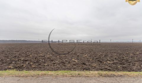 NA PREDAJ orná pôda pri ceste o výmere 48.424 m2 v obci Zohor