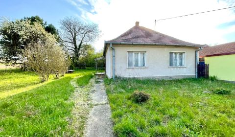 Rodinný dom s veľkým pozemkom /3094m2/, Dulovce