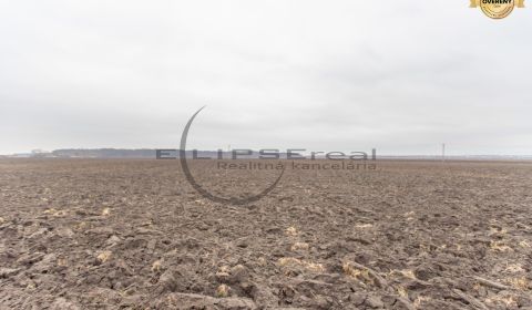NA PREDAJ orná pôda pri ceste o výmere 11.772 m2 v obci Zohor
