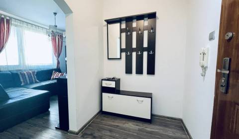 A-W REAL I PREROBENÁ GARSÓNKA SO ZARIADENÍM V CENTRE MESTA