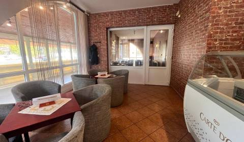 Znížená cena!!!!   Obchodný priestor na predaj.