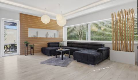 Luxusný rodinný dom zo samostatnou bytovou jednotkou vhodný aj ako dvo